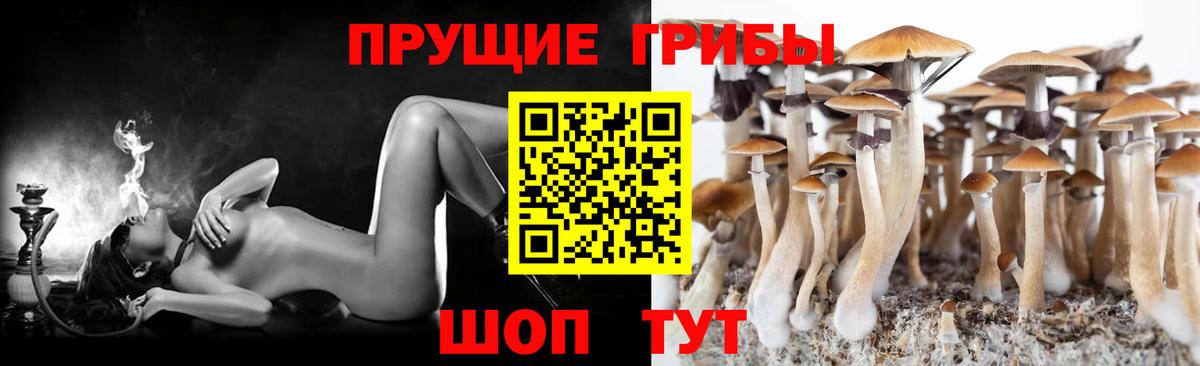 Галлюциногенные грибы GOLDEN TEACHER  Псилоцибиновые грибы мицелий  Вход с VPN  наркошоп  Первоуральск 